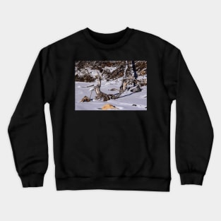 Artistic driftwood Crewneck Sweatshirt